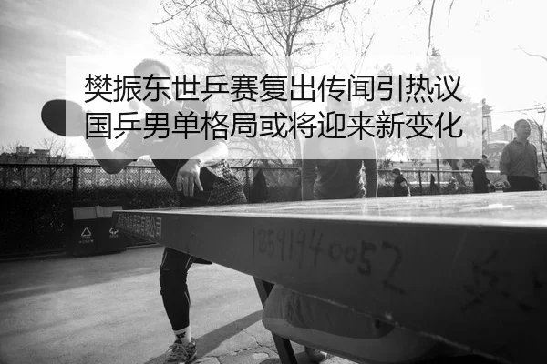 樊振东世乒赛复出传闻引热议 国乒男单格局或将迎来新变化
